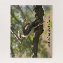 Kookaburra australiana