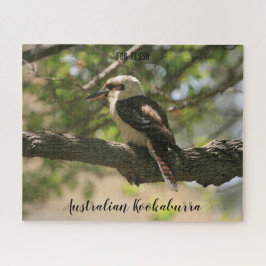Puzzle Kookaburra australiana