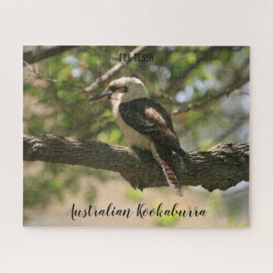 Puzzle Kookaburra australiana