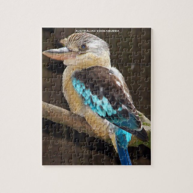 Puzzle Kookaburra australiana (Vertical)