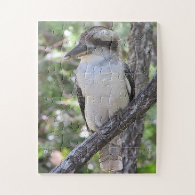 Puzzle kookaburra riéndose (Vertical)