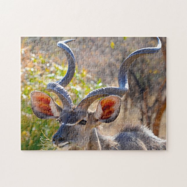 Puzzle Kudu Botsuana. (Horizontal)