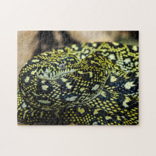 Puzzle La alfombra de la jungla Serpiente de Python