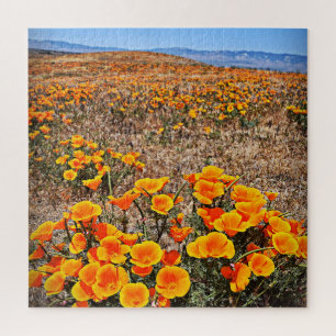 Puzzle La amapola de California coloca - las flores -