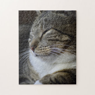 Puzzle La Bella Durmiente - Gato Atigrado