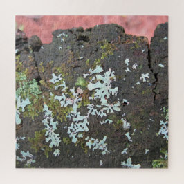 Puzzle La belleza del árbol de la naturaleza agobió la re