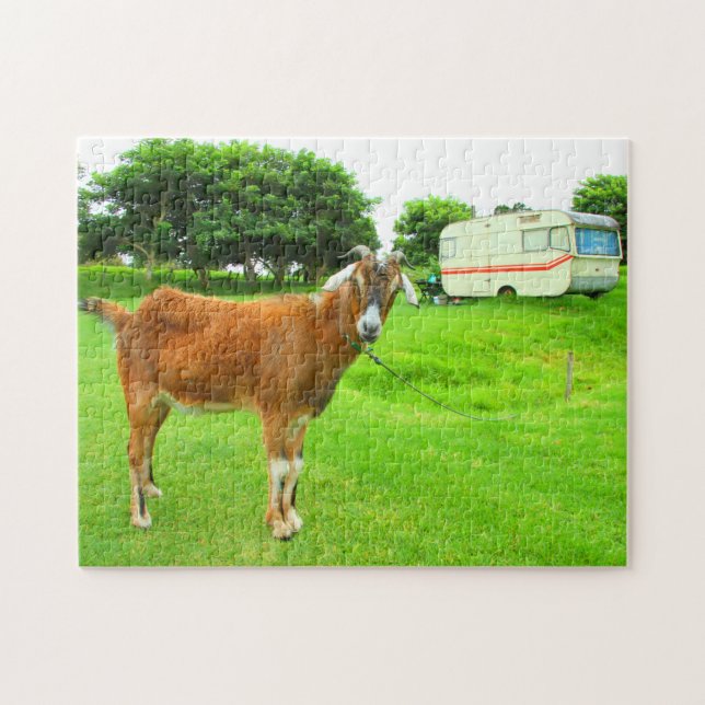 Puzzle LA CABRA QUIRKY DE 11x14 PULGADAS (Horizontal)