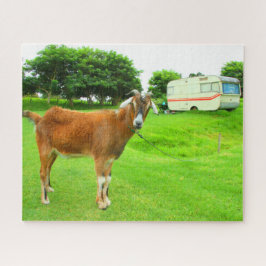 Puzzle LA CABRA QUIRKY DE 16x20 PULGADAS