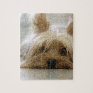 Puzzle la cara linda del perro del mascota del perrito