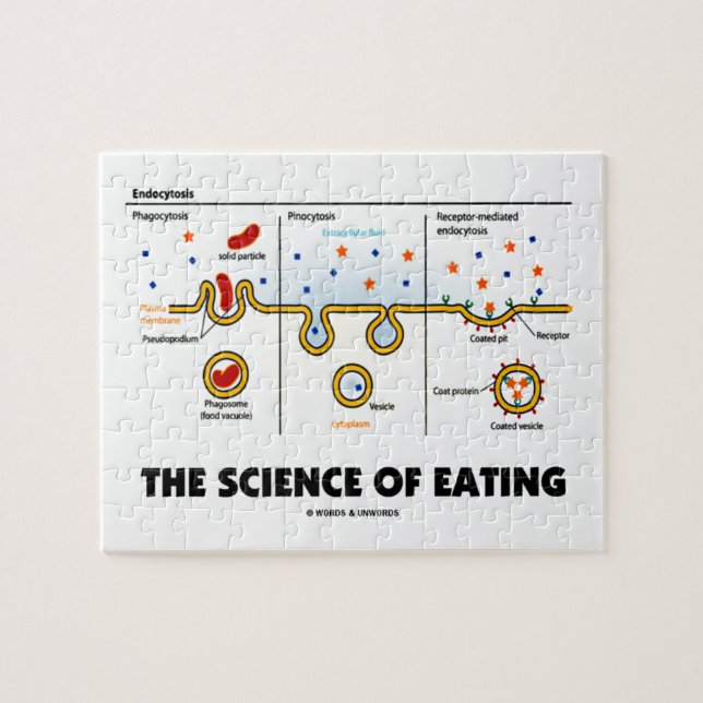 Puzzle La Ciencia De La Comida (Humor De Endocytosis Biol (Horizontal)