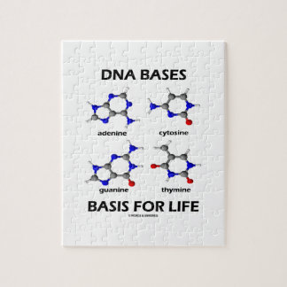 Puzzle La DNA basa la base para la vida (la estructura