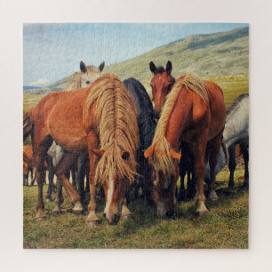 Puzzle La escena natural de Livno de Caballos Salvajes