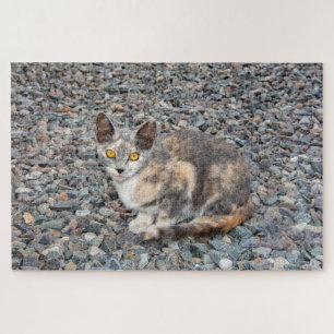 Puzzle La funda de la almohada del gato