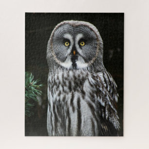 Puzzle La gran lechuza gris 16x20 520pc jpcna