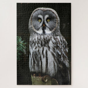 Puzzle La gran lechuza gris 20x30 1014pc jpm