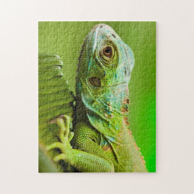 Puzzle La iguana en lo salvaje (Vertical)