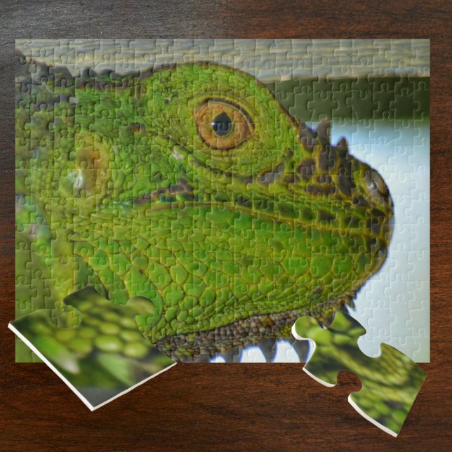 Puzzle La iguana verde hacia arriba y la fotografía perso (Subido por el creador)