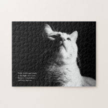 La luz de la leyenda