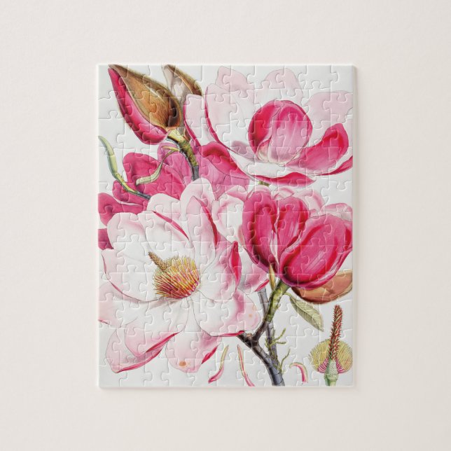 Puzzle La Magnolia de Campbell (Vertical)