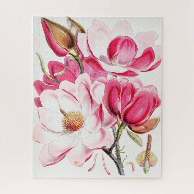 Puzzle La Magnolia de Campbell (Vertical)