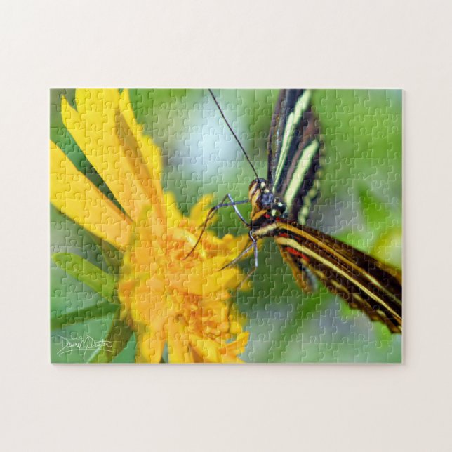 Puzzle La mariposa cebra (Horizontal)