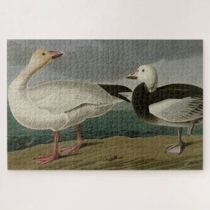 Puzzle La nieve surge de los pájaros de América de Audubo