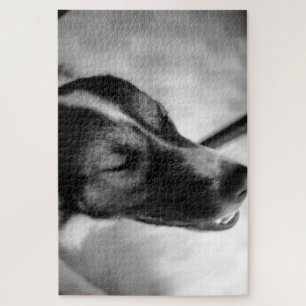 Puzzle La noche del perro fuera