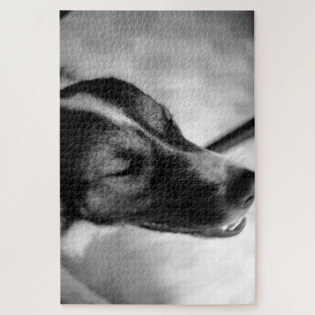 Puzzle La noche del perro fuera (Vertical)