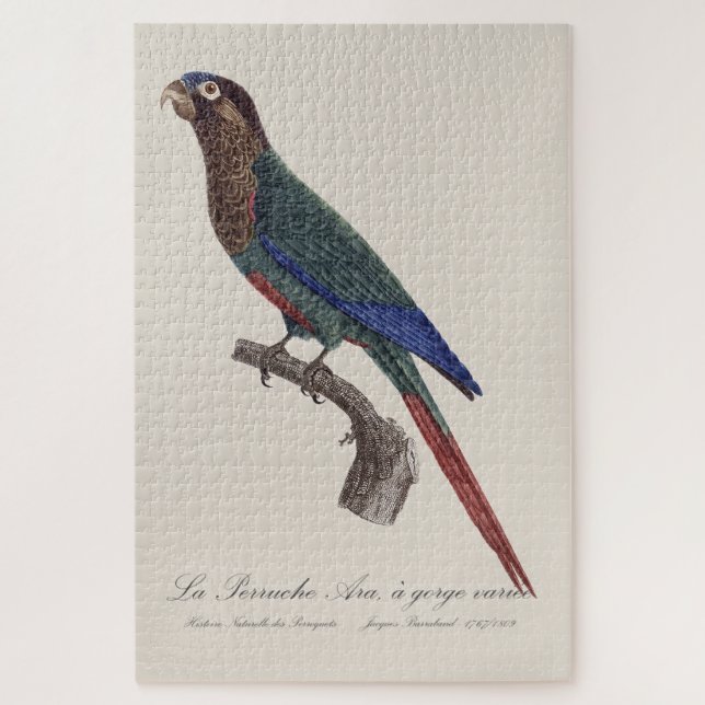 Puzzle La Perruche Ara, una especie de garganta (Vertical)