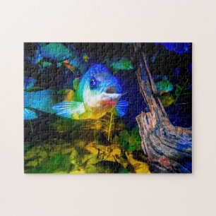 Puzzle La plantilla curiosa de los pescados vio