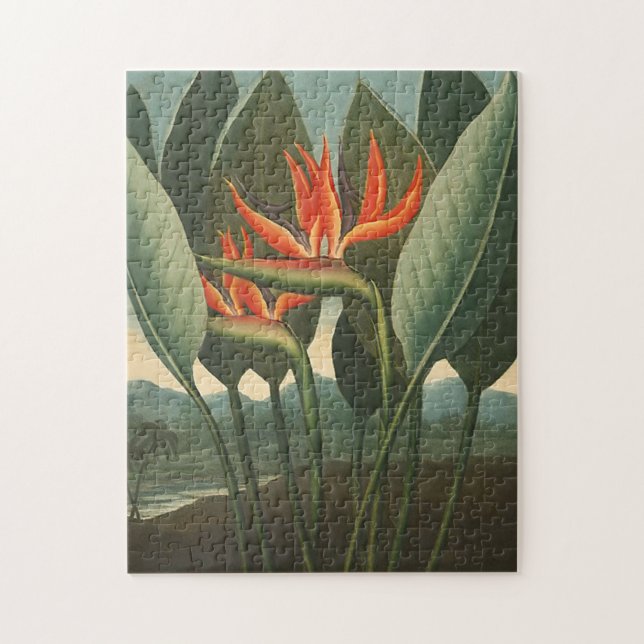 Puzzle "La reina (pájaro del paraíso)" (Vertical)