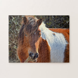 Puzzle La señora Macky de Assateague Pinto Mare