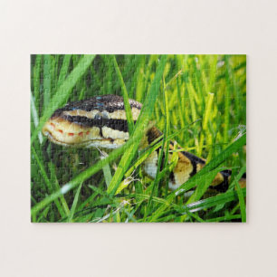 Puzzle La serpiente de Ball Python en la hierba