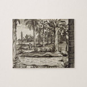 Puzzle La serpiente de piedra, de "China ilustró" por