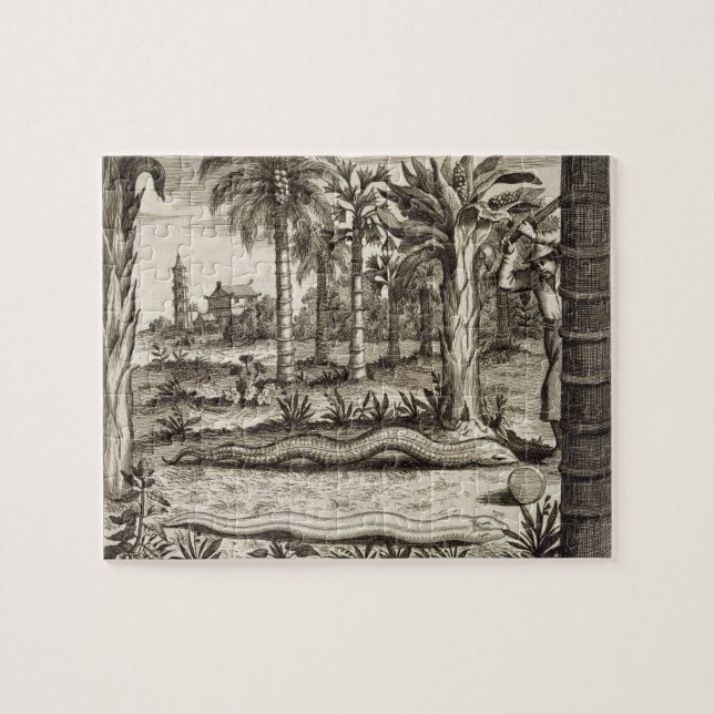 Puzzle La serpiente de piedra, de "China ilustró" por (Horizontal)