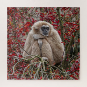 Puzzle La soledad de Gibbon