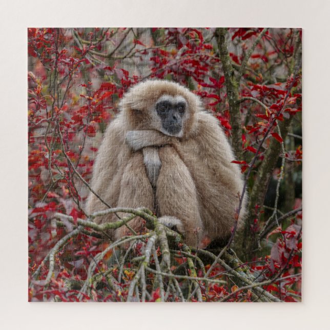Puzzle La soledad de Gibbon (Vertical)