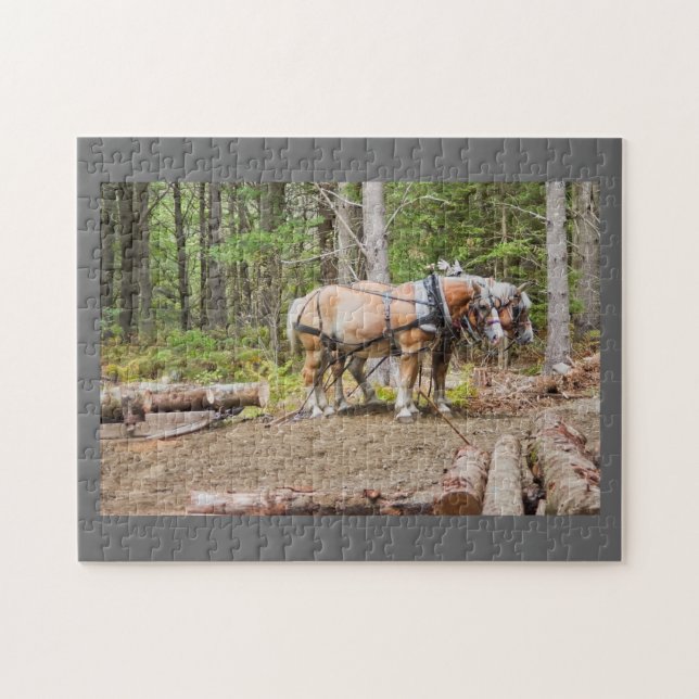 Puzzle La tracción de los caballos abre una sesión las (Horizontal)