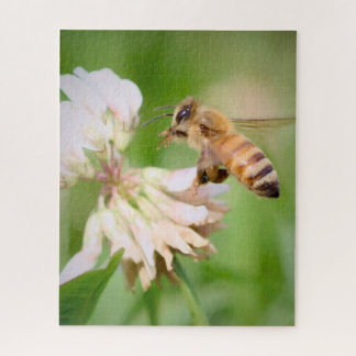 Puzzle La tranquila misión de una abeja en trébol blanco