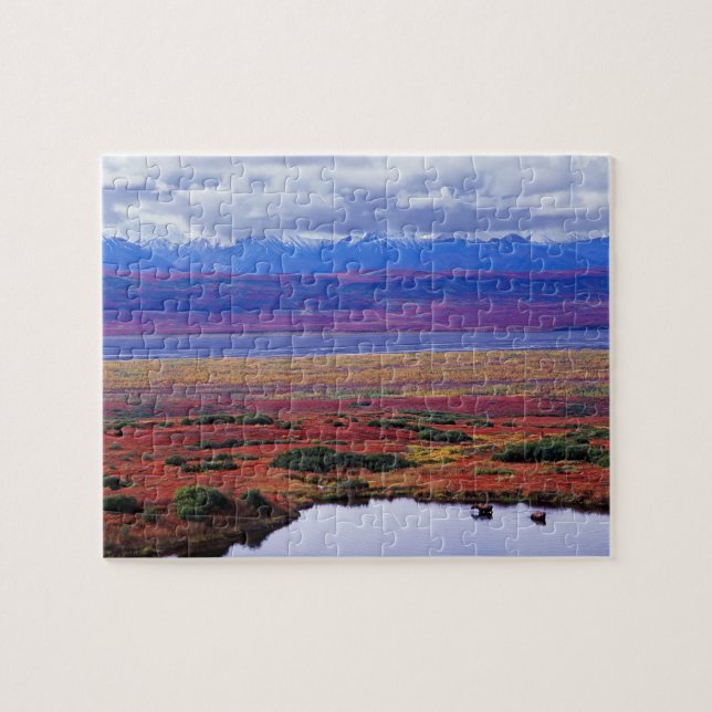 Puzzle La tundra del Parque Nacional Denali a finales (Horizontal)