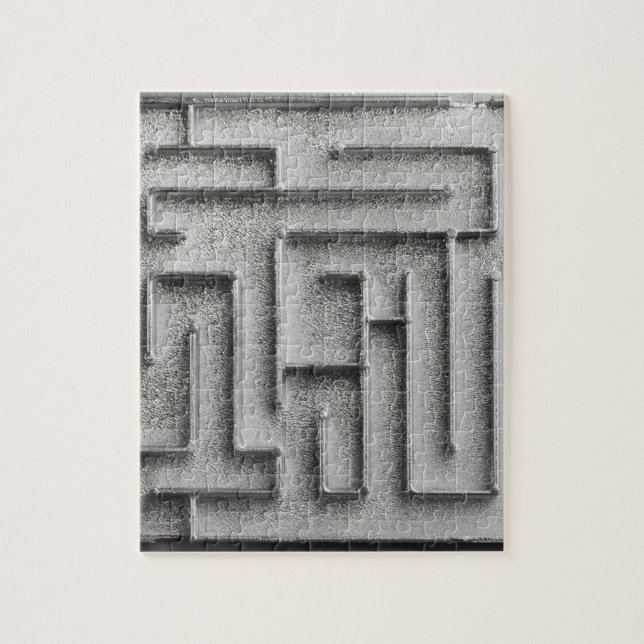 Puzzle Laberinto de plata (Vertical)
