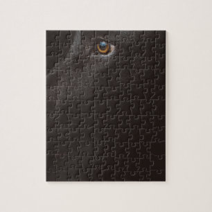 Puzzle laboratorio negro