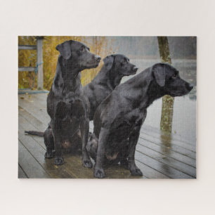 Puzzle Labores negras en un muelle