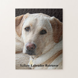 Puzzle Labrador amarillo recuperador