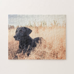 Puzzle Labrador Negro En Grasa Seca