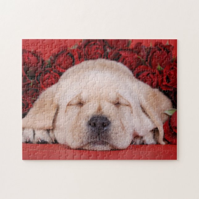 Puzzle Labrador redriever cachorro con rosas rojas (Horizontal)
