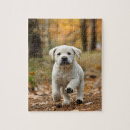 Puzzle Labrador retriever