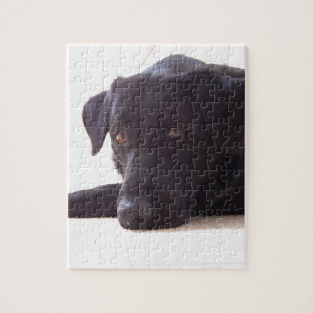 Puzzle labrador retriever (Vertical)