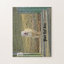 Puzzle Labrador Retriever Amarillo Corriendo