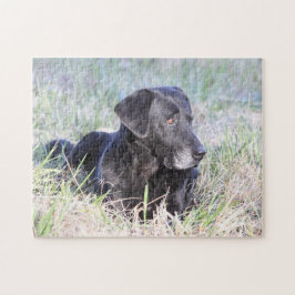 Puzzle Labrador retriever negro